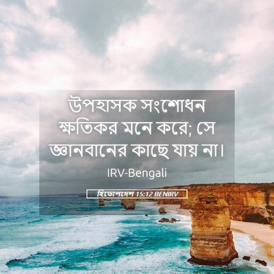 Picture 05 - হিতোপদেশ 15:12 BENIRV - উপহাসক সংশোধন - Bible Verse Picture