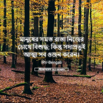 Picture 05 - হিতোপদেশ 16:2 BENIRV - মানুষের সমস্ত - Bible Verse Picture