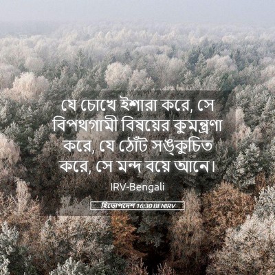 Picture 05 - হিতোপদেশ 16:30 BENIRV - যে চোখে ইশারা করে, - Bible Verse Picture