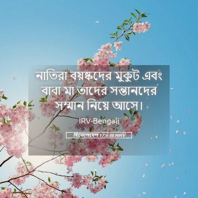 Picture 05 - হিতোপদেশ 17:6 BENIRV - নাতিরা বয়ষ্কদের - Bible Verse Picture
