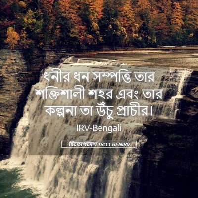 Picture 05 - হিতোপদেশ 18:11 BENIRV - ধনীর ধন সম্পত্তি - Bible Verse Picture