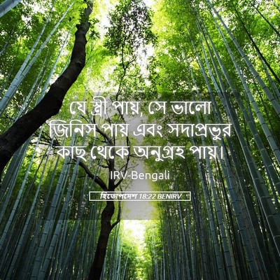 Picture 05 - হিতোপদেশ 18:22 BENIRV - যে স্ত্রী পায়, সে - Bible Verse Picture