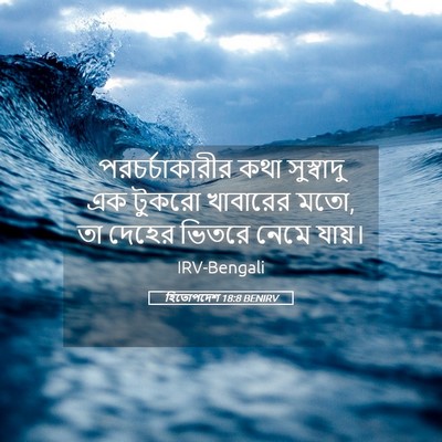 Picture 05 - হিতোপদেশ 18:8 BENIRV - পরচর্চাকারীর কথা - Bible Verse Picture