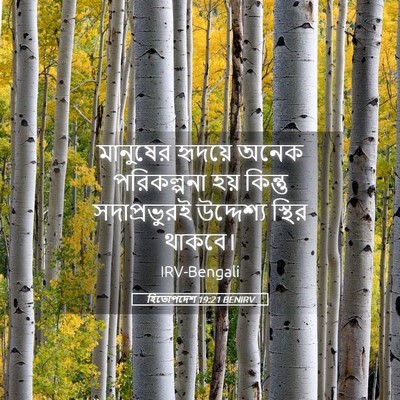 Picture 05 - হিতোপদেশ 19:21 BENIRV - মানুষের হৃদয়ে - Bible Verse Picture