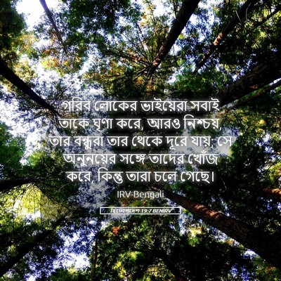 Picture 05 - হিতোপদেশ 19:7 BENIRV - গরিব লোকের - Bible Verse Picture