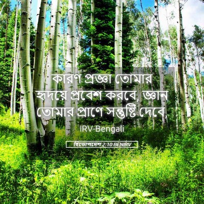 Picture 05 - হিতোপদেশ 2:10 BENIRV - কারণ প্রজ্ঞা - Bible Verse Picture