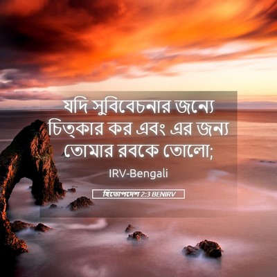 Picture 05 - হিতোপদেশ 2:3 BENIRV - যদি সুবিবেচনার - Bible Verse Picture