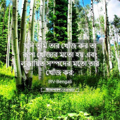 Picture 05 - হিতোপদেশ 2:4 BENIRV - যদি তুমি তার খোঁজ - Bible Verse Picture