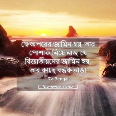Picture 05 - হিতোপদেশ 20:16 BENIRV - যে অপরের জামিন হয়, - Bible Verse Picture