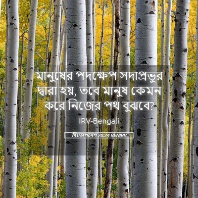 Picture 05 - হিতোপদেশ 20:24 BENIRV - মানুষের পদক্ষেপ - Bible Verse Picture