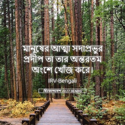 Picture 05 - হিতোপদেশ 20:27 BENIRV - মানুষের আত্মা - Bible Verse Picture