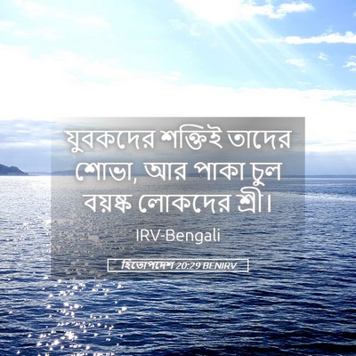 Picture 05 - হিতোপদেশ 20:29 BENIRV - যুবকদের শক্তিই - Bible Verse Picture