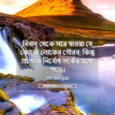 Picture 05 - হিতোপদেশ 20:3 BENIRV - বিবাদ থেকে সরে - Bible Verse Picture