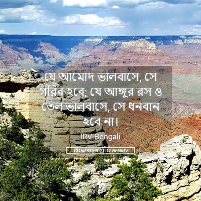 Picture 05 - হিতোপদেশ 21:17 BENIRV - যে আমোদ ভালবাসে, সে - Bible Verse Picture