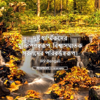 Picture 05 - হিতোপদেশ 21:18 BENIRV - দুষ্ট - Bible Verse Picture