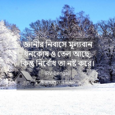 Picture 05 - হিতোপদেশ 21:20 BENIRV - জ্ঞানীর নিবাসে - Bible Verse Picture