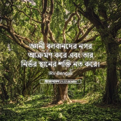 Picture 05 - হিতোপদেশ 21:22 BENIRV - জ্ঞানী বলবানদের - Bible Verse Picture
