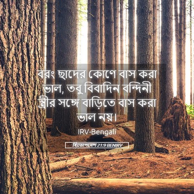 Picture 05 - হিতোপদেশ 21:9 BENIRV - বরং ছাদের কোণে বাস - Bible Verse Picture