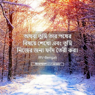 Picture 05 - হিতোপদেশ 22:25 BENIRV - অথবা তুমি তার পথের - Bible Verse Picture