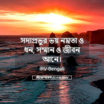 Picture 05 - হিতোপদেশ 22:4 BENIRV - সদাপ্রভুর ভয় - Bible Verse Picture