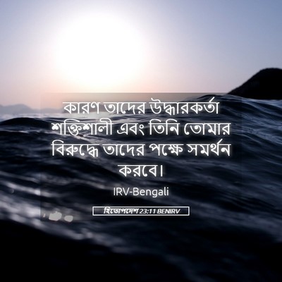 Picture 05 - হিতোপদেশ 23:11 BENIRV - কারণ তাদের - Bible Verse Picture