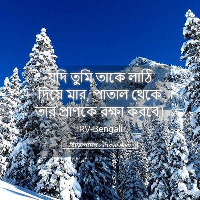 Picture 05 - হিতোপদেশ 23:14 BENIRV - যদি তুমি তাকে লাঠি - Bible Verse Picture