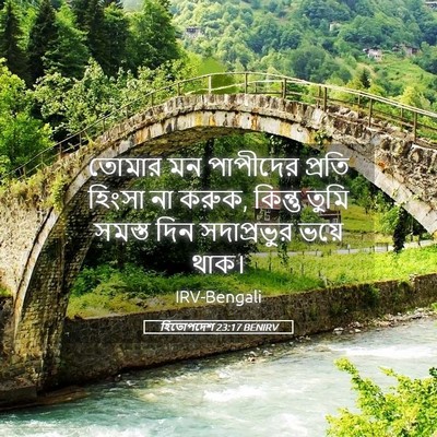 Picture 05 - হিতোপদেশ 23:17 BENIRV - তোমার মন পাপীদের - Bible Verse Picture