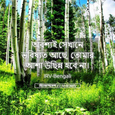 Picture 05 - হিতোপদেশ 23:18 BENIRV - অবশ্যই সেখানে - Bible Verse Picture