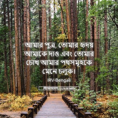 Picture 05 - হিতোপদেশ 23:26 BENIRV - আমার পুত্র, তোমার - Bible Verse Picture
