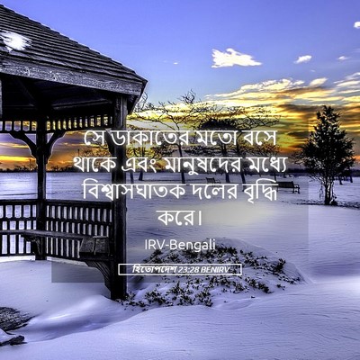 Picture 05 - হিতোপদেশ 23:28 BENIRV - সে ডাকাতের মতো বসে - Bible Verse Picture