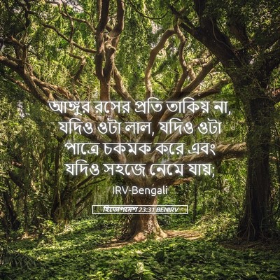 Picture 05 - হিতোপদেশ 23:31 BENIRV - আঙ্গুর রসের প্রতি - Bible Verse Picture