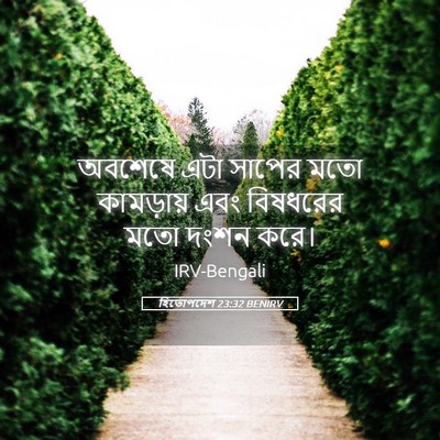 Picture 05 - হিতোপদেশ 23:32 BENIRV - অবশেষে এটা সাপের - Bible Verse Picture