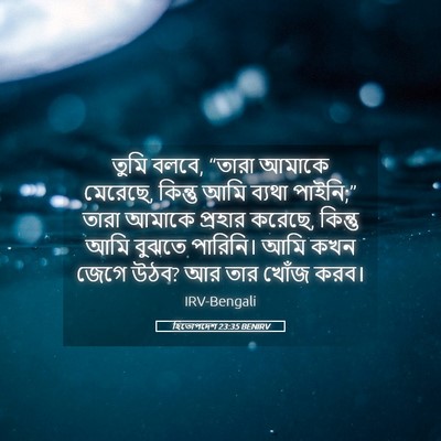 Picture 05 - হিতোপদেশ 23:35 BENIRV - তুমি বলবে, “তারা - Bible Verse Picture