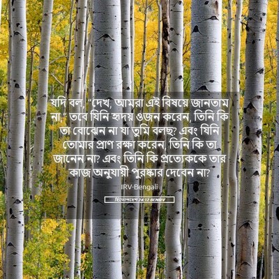 Picture 05 - হিতোপদেশ 24:12 BENIRV - যদি বল, “দেখ, আমরা - Bible Verse Picture