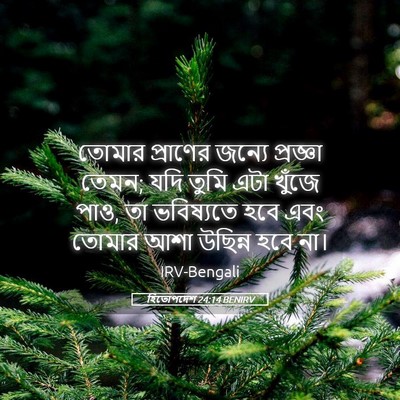 Picture 05 - হিতোপদেশ 24:14 BENIRV - তোমার প্রাণের - Bible Verse Picture