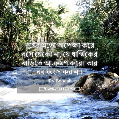 Picture 05 - হিতোপদেশ 24:15 BENIRV - দুষ্টের মতো - Bible Verse Picture