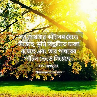 Picture 05 - হিতোপদেশ 24:31 BENIRV - সব জায়গার - Bible Verse Picture