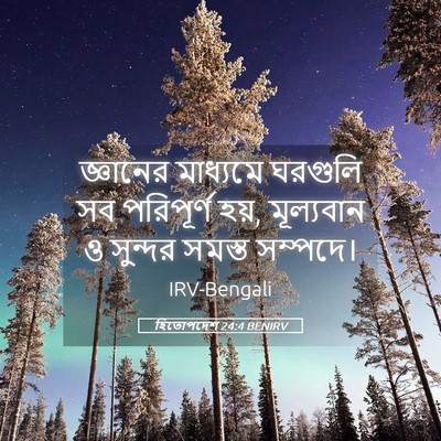 Picture 05 - হিতোপদেশ 24:4 BENIRV - জ্ঞানের মাধ্যমে - Bible Verse Picture