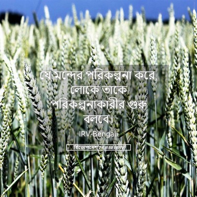 Picture 05 - হিতোপদেশ 24:8 BENIRV - যে মন্দের - Bible Verse Picture