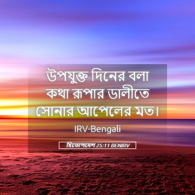 Picture 05 - হিতোপদেশ 25:11 BENIRV - উপযুক্ত দিনের বলা - Bible Verse Picture