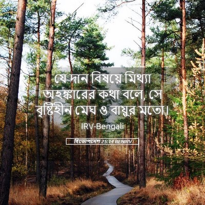 Picture 05 - হিতোপদেশ 25:14 BENIRV - যে দান বিষয়ে - Bible Verse Picture