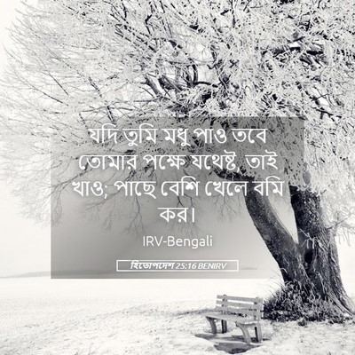 Picture 05 - হিতোপদেশ 25:16 BENIRV - যদি তুমি মধু পাও - Bible Verse Picture