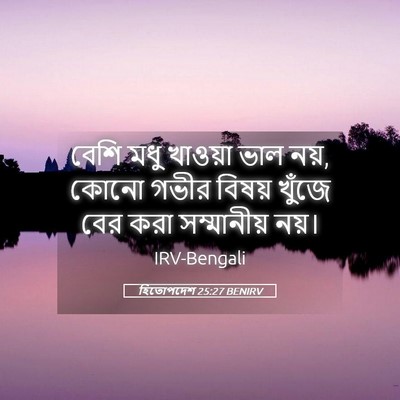 Picture 05 - হিতোপদেশ 25:27 BENIRV - বেশি মধু খাওয়া - Bible Verse Picture
