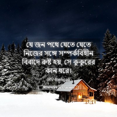 Picture 05 - হিতোপদেশ 26:17 BENIRV - যে জন পথে যেতে যেতে - Bible Verse Picture