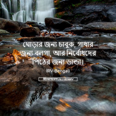 Picture 05 - হিতোপদেশ 26:3 BENIRV - ঘোড়ার জন্য চাবুক, - Bible Verse Picture