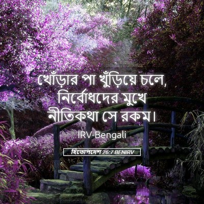 Picture 05 - হিতোপদেশ 26:7 BENIRV - খোঁড়ার পা - Bible Verse Picture