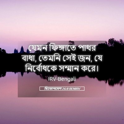 Picture 05 - হিতোপদেশ 26:8 BENIRV - যেমন ফিঙ্গাতে - Bible Verse Picture