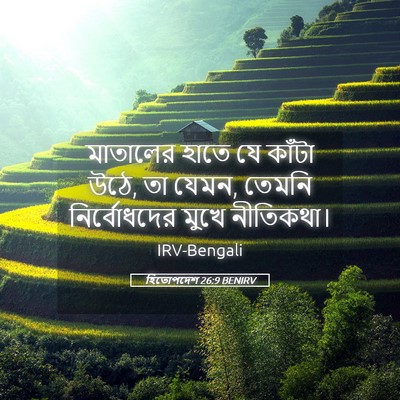 Picture 05 - হিতোপদেশ 26:9 BENIRV - মাতালের হাতে যে - Bible Verse Picture