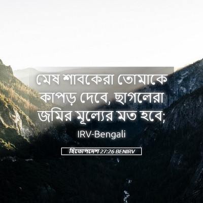 Picture 05 - হিতোপদেশ 27:26 BENIRV - মেষ শাবকেরা - Bible Verse Picture