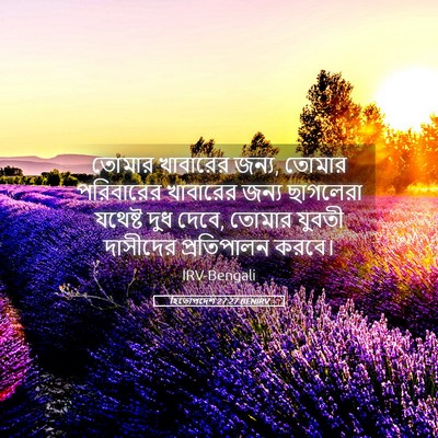 Picture 05 - হিতোপদেশ 27:27 BENIRV - তোমার খাবারের - Bible Verse Picture